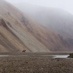 Two people horse riding surrounded by fog and rhyolite mountains