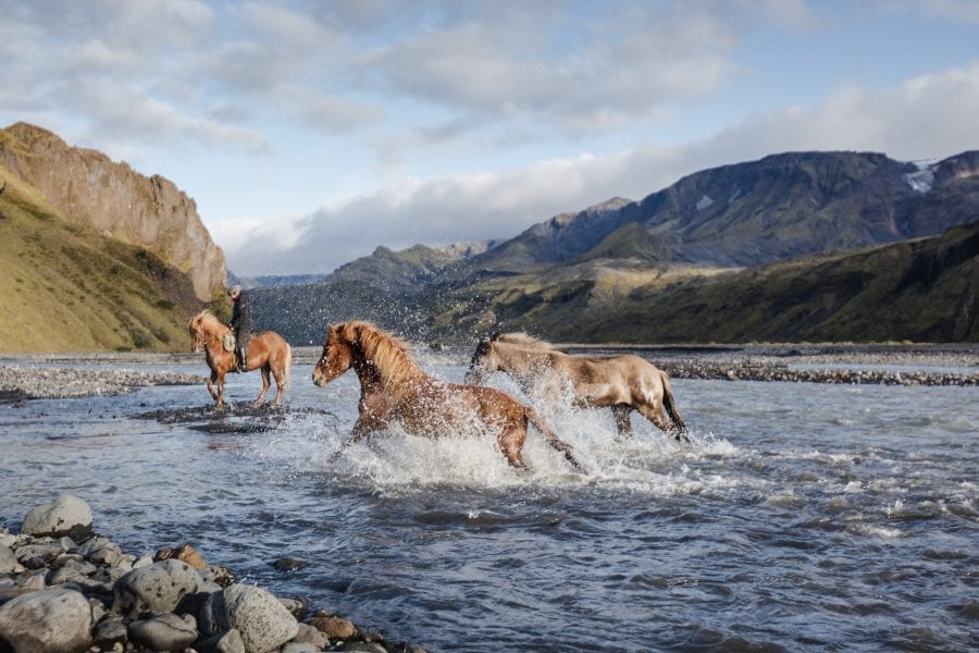 Three horses passing a river
