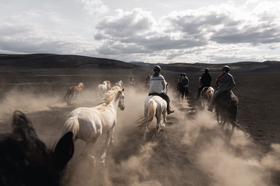 horseback riding in iceland