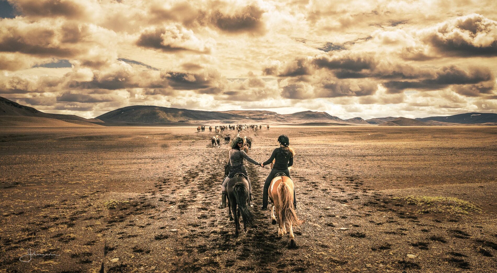 icelandic horse riding tour